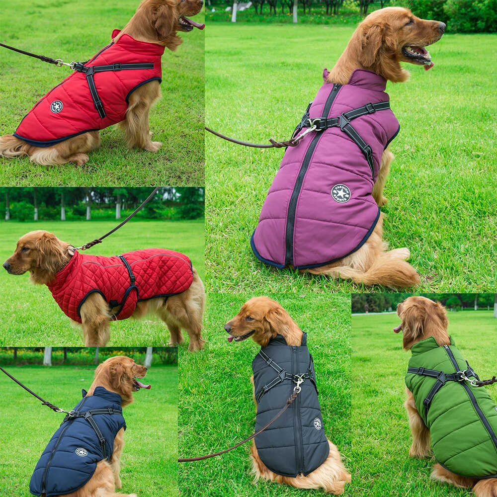 Winter Dog Jacket with Built-In Harness | Waterproof, Warm, and Stylish Dog Coat for Small to Large Breeds