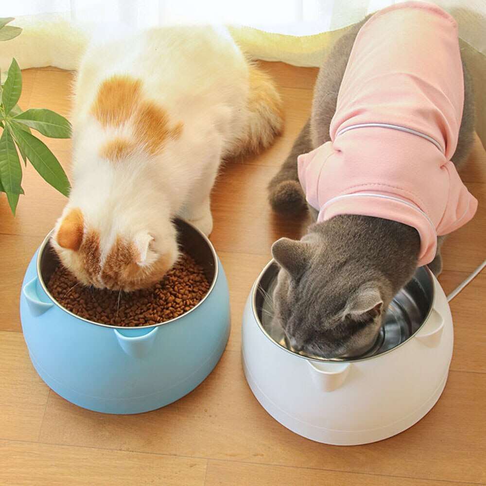 15 Degrees Raised Stainless Steel Cat Dog Bowls | Safeguard Neck Puppy Pet Feeder | Non-slip Elevated Cat Food Bowl