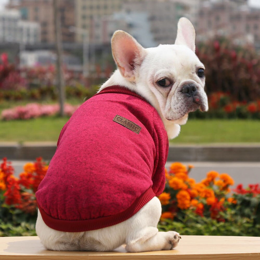Soft Knit Dog Sweater Winter Pet Clothing | Warm Knitwear for Small Dogs & Cats, Available in Multiple Colours