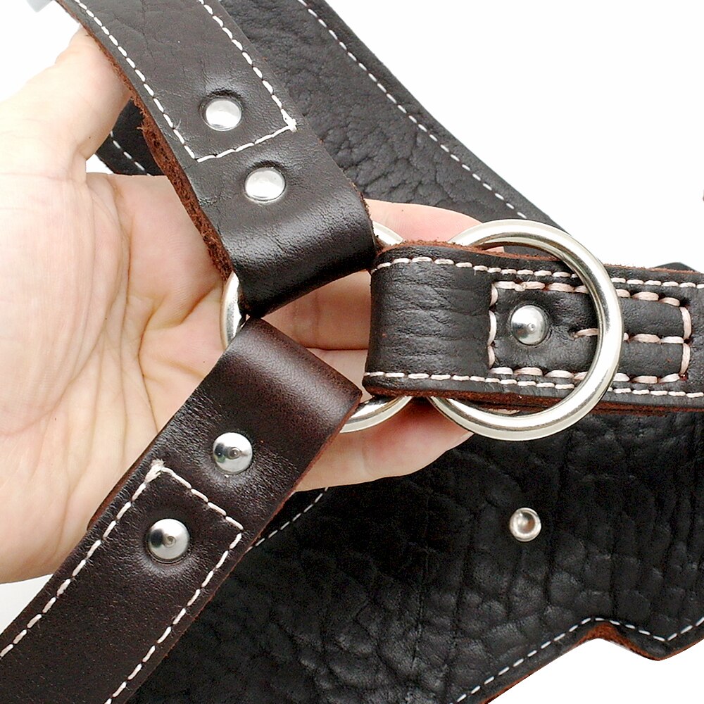 Durable Genuine Leather Dog Harness | Large Dog Vest Harness with Quick Control Handle | Adjustable and Heavy Duty for Pet Safety