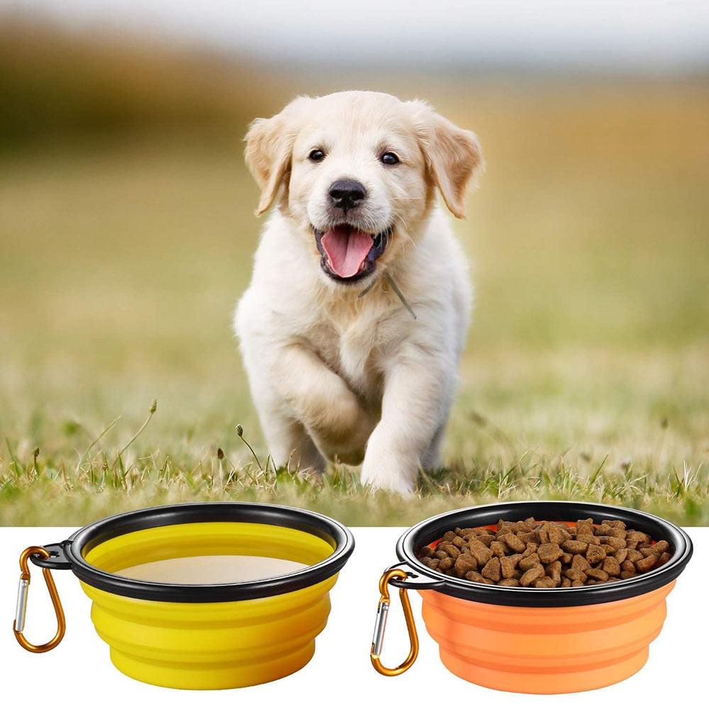 Collapsible Silicone Dog Bowls | Portable Travel Feeding Dish, 350/1000ml for Dogs & Cats