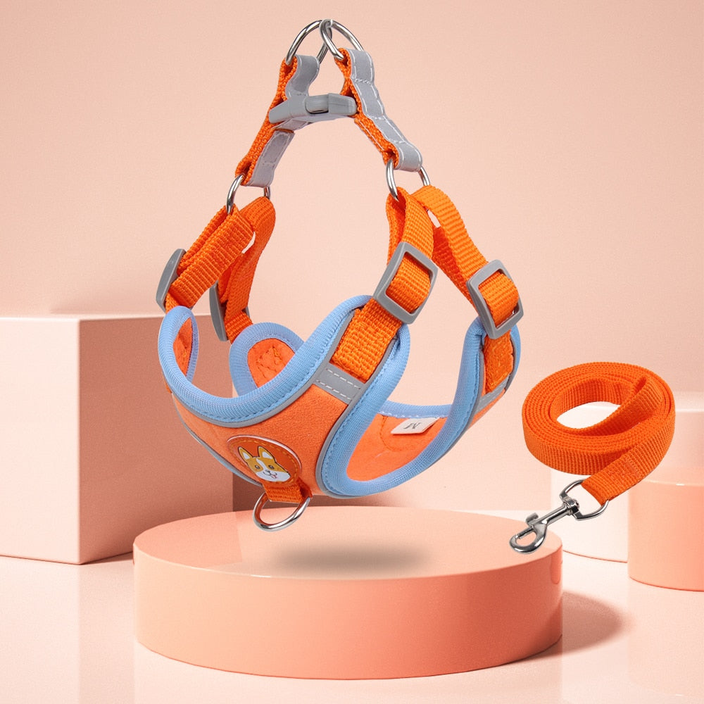 Reflective Adjustable Step-in Dog Harness & Leash Set | Comfortable Fit for Small & Medium Breeds | Available in Multiple Colours