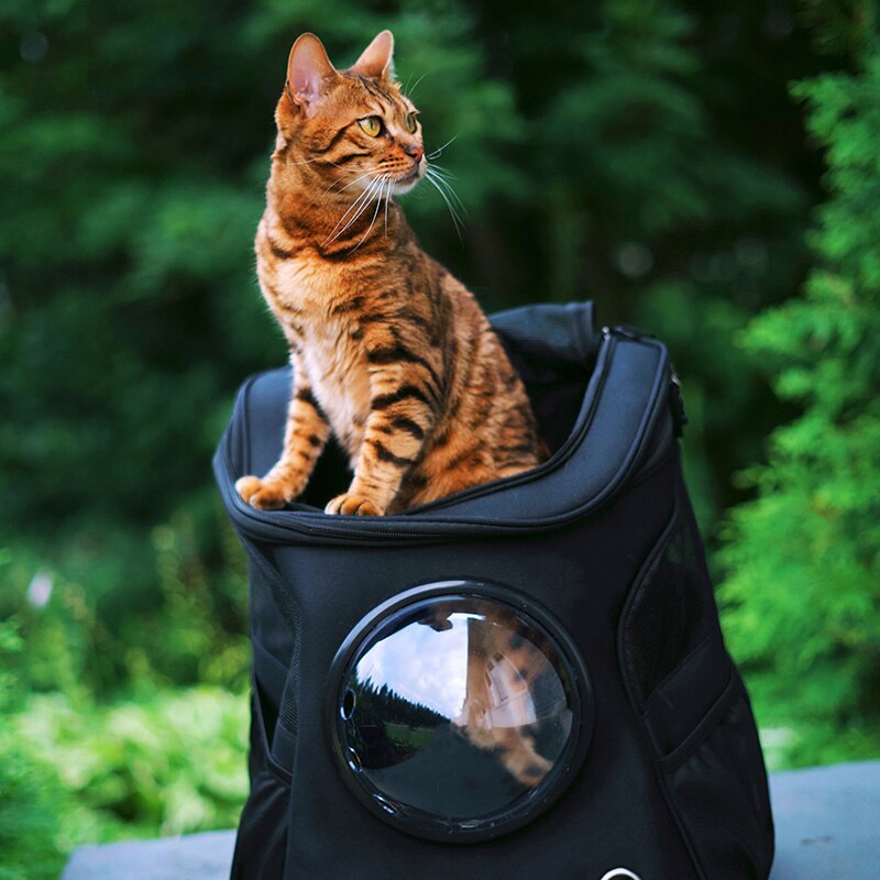 Denim Pet Backpack Carrier with Space Capsule Bubble | Perfect for Small to Medium Cats & Puppies, Ideal for Travel & Hiking