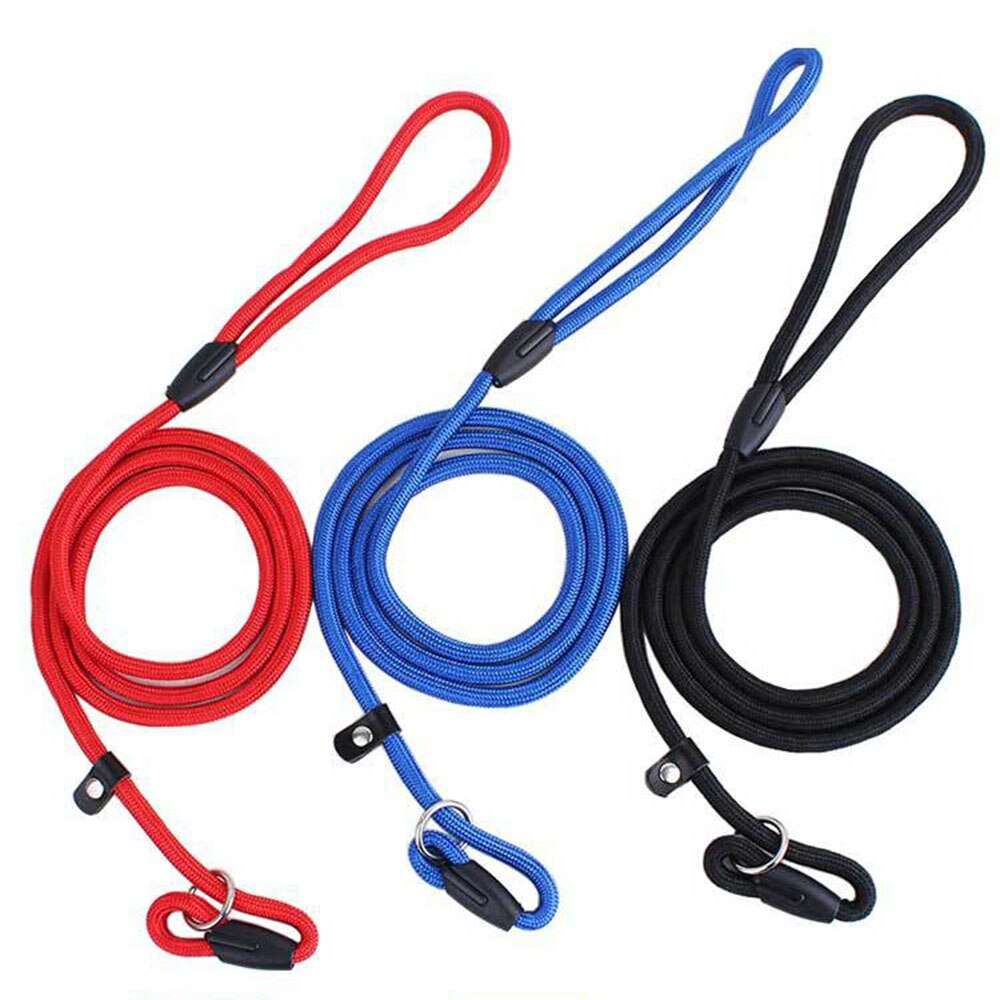Adjustable Nylon Dog Slip Leash | No-Pull Training Lead for Small Dogs | Pet Puppy Slip Lead Rope
