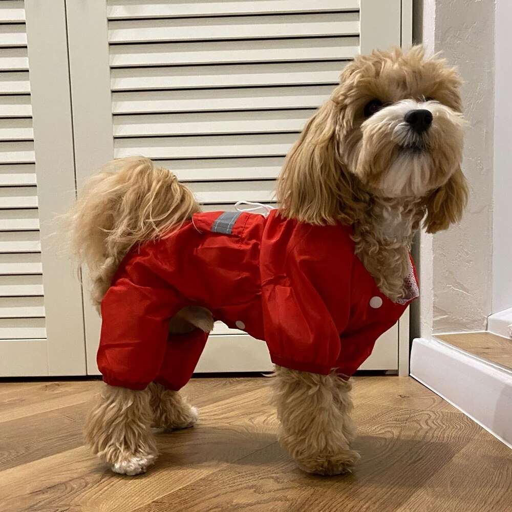 Adjustable Waterproof Dog Raincoat | Outdoor Pet Poncho for Small Dogs with Reflective Strap