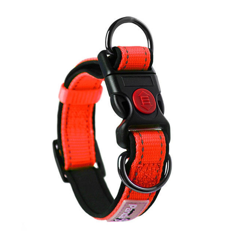 Adjustable Reflective Nylon Dog Collar | Comfortable Padded Design with Double D Rings for Small to Large Dogs
