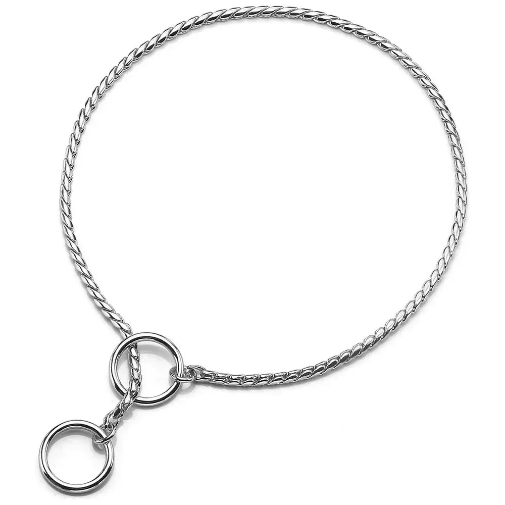 Metal Chain Dog Show Collar | Adjustable