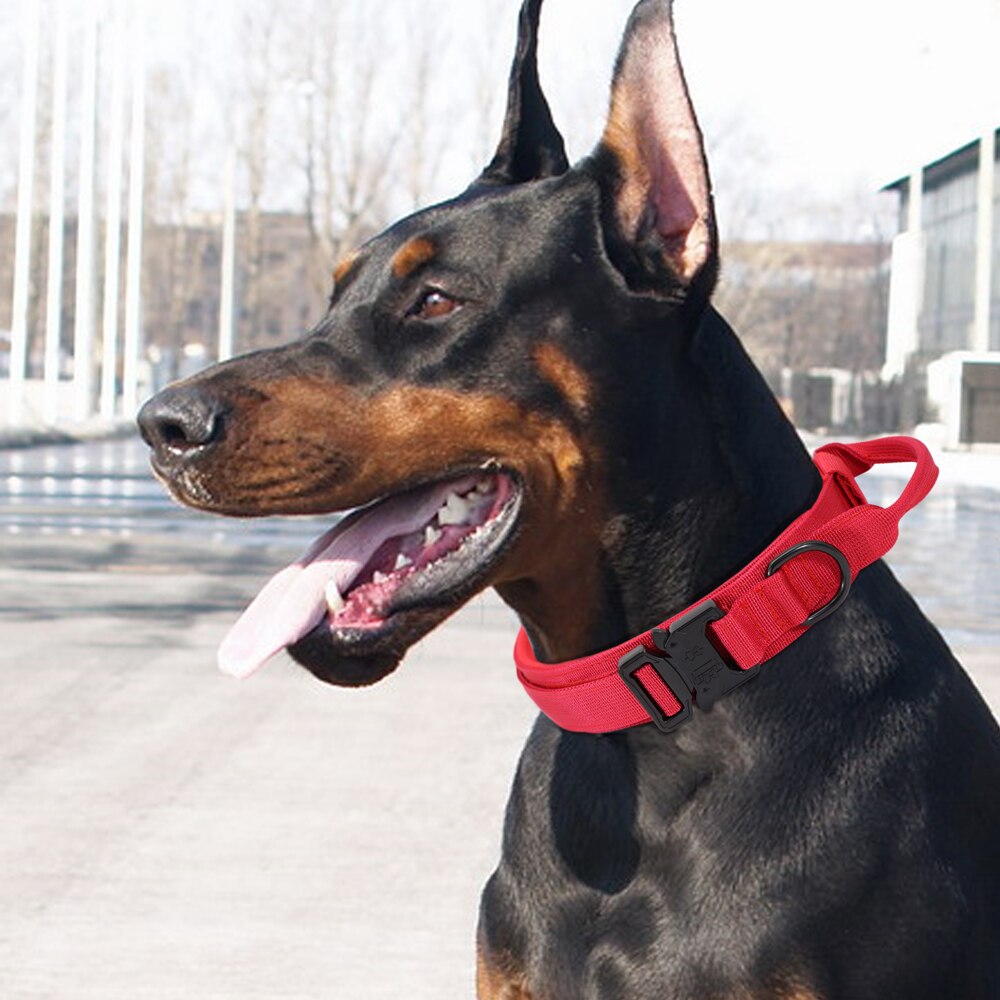 Durable Tactical Dog Collar | Military Nylon Pet Collar with Handle for Medium and Large Dogs | Adjustable for Training and Outdoor Use