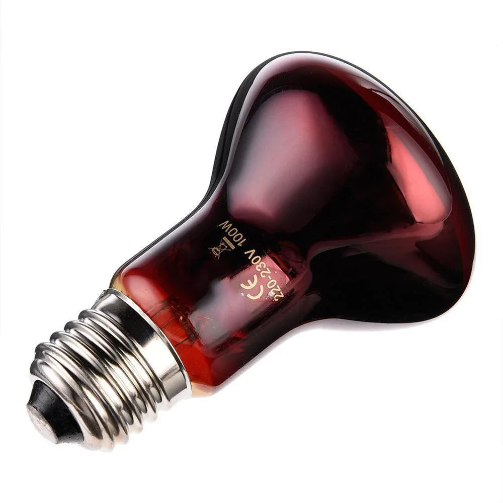 220V Infrared Heating Lamp for Poultry & Pets | E27 Red Heat Bulb 25W-100W with UVA for Reptiles & Amphibians