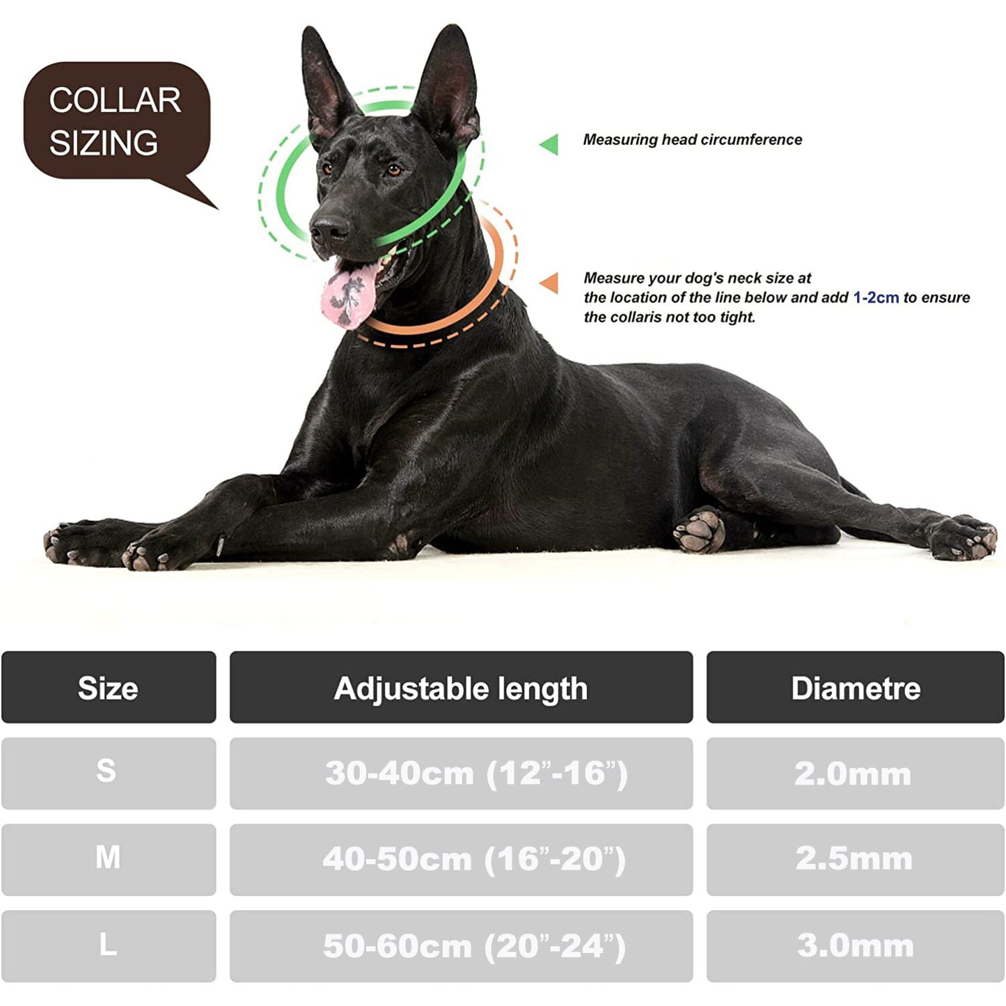 Stainless Steel Martingale Dog Chain Collar | Heavy Duty, Chew Proof, Double Row Chain for Large Breeds