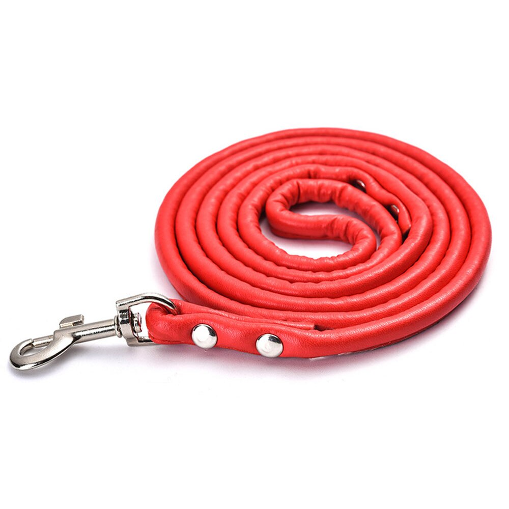 Round Colourful PU Rolled Dog Leash | Durable Lead for Small to Medium Breeds | Multiple Colours Available