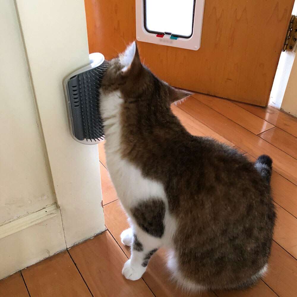 Cat Grooming Toy Arch Massager Self Cleaning Comb | Pet Hair Removal, Scratch Bristles, Plastic Cat Corner Scratcher