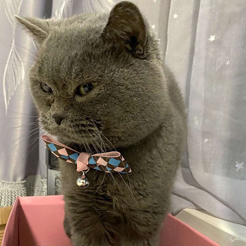 Cat Accessories | Bow Tie Collar with Bell | Breakaway Bowtie for Kitten & Small Dog | Pet Grooming Products