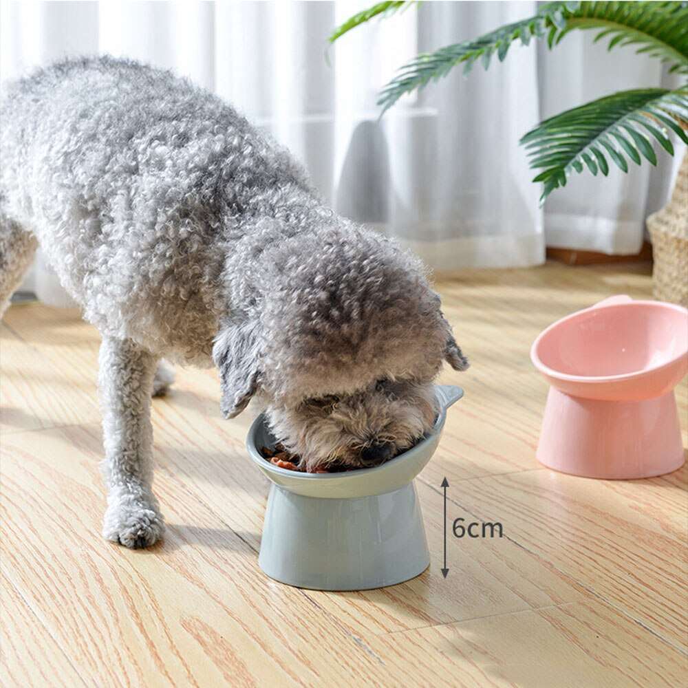 45° Neck Protector Cat Bowl | Anti-Overturning Pet Food Water Bowl | Binaural Cat Feeder Cup