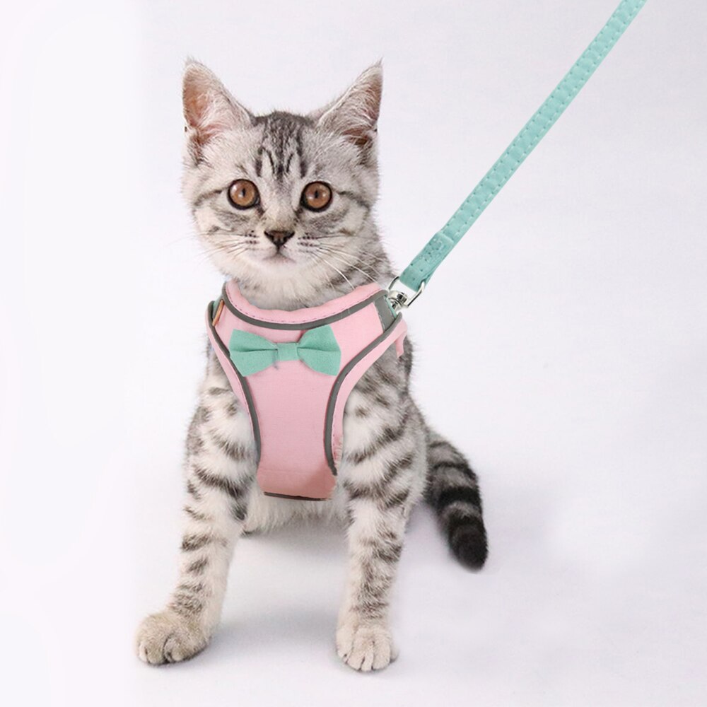 Adjustable Breathable Pet Harness and Leash Set for Small Dogs and Cats | Reflective Safety Design