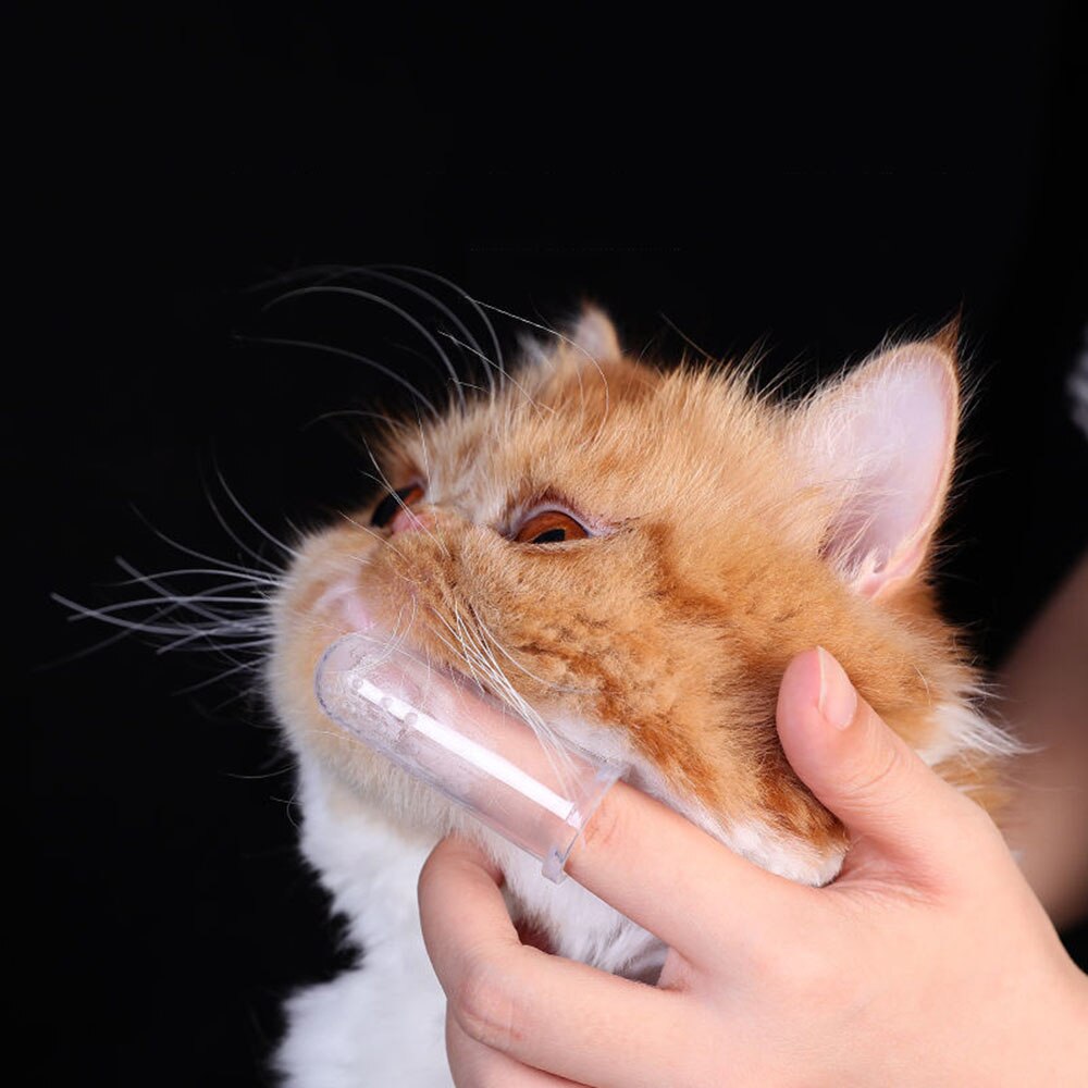 Pet Fingertip Toothbrush | Super Soft Oral Care Finger Brush for Dogs & Cats, Gentle Tooth Cleaning for All Pets