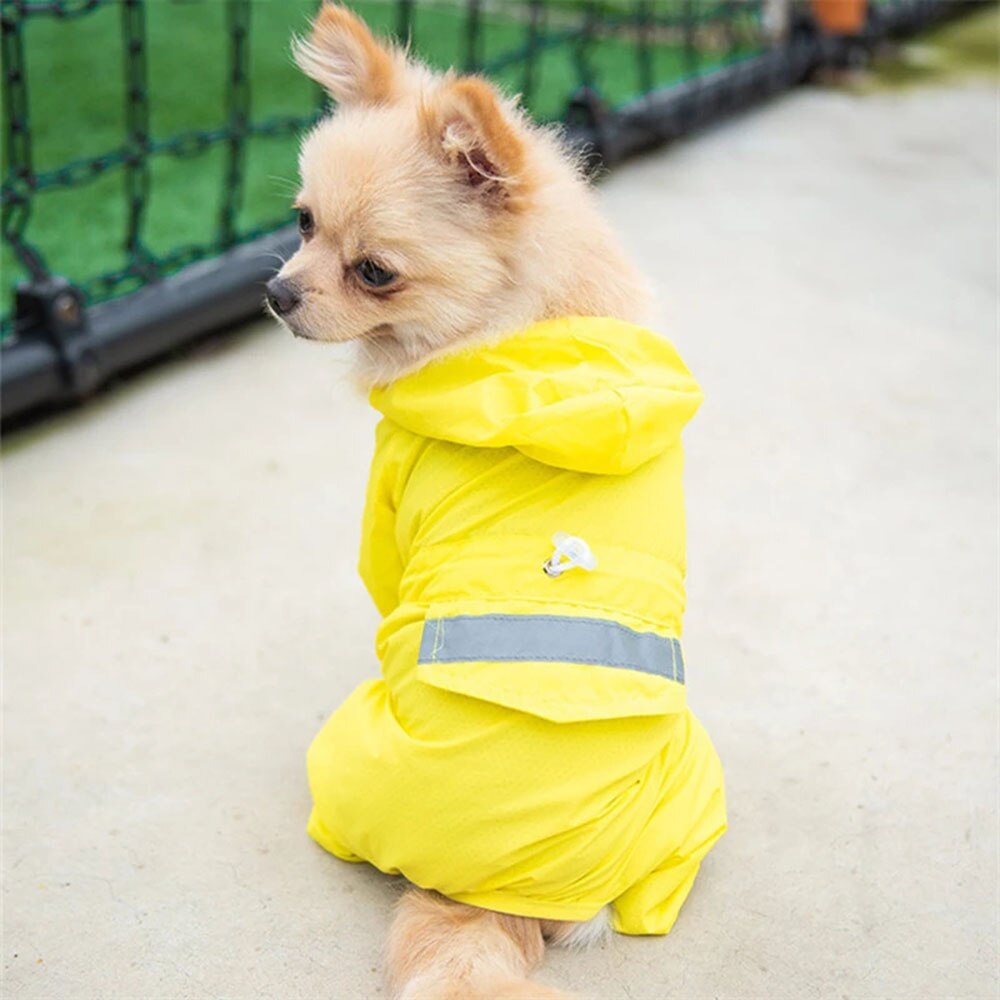 Adjustable Waterproof Dog Raincoat with Reflective Strap | All-Weather Protection for Small Dogs