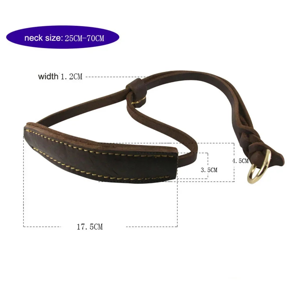 Real Leather Martingale Dog Collar | Soft Adjustable Leather Collar for Medium and Large Dogs