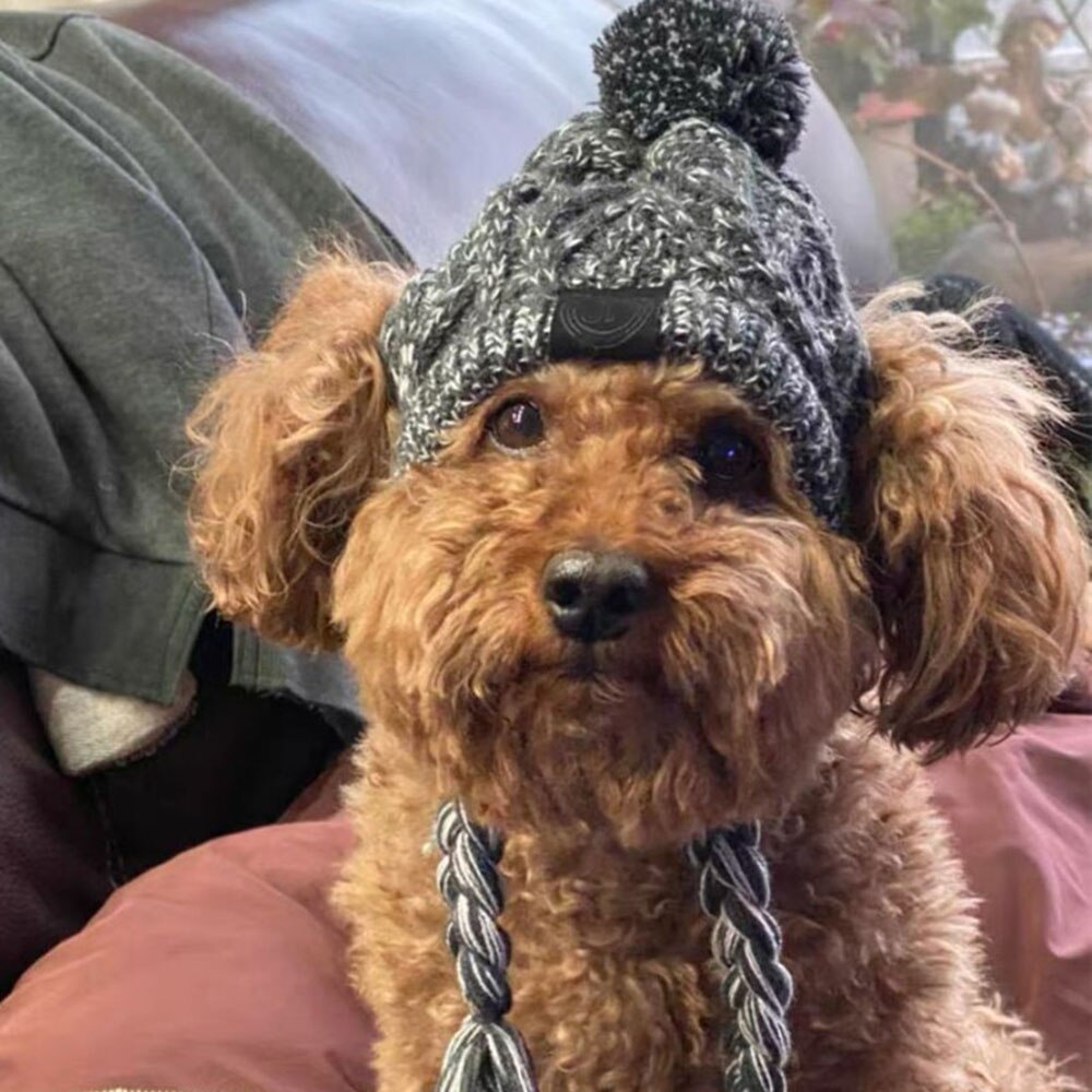 Winter Warm Pet Dog Knitted Hat | Windproof Knitted Cap with Ear Holes for Small and Medium Dogs