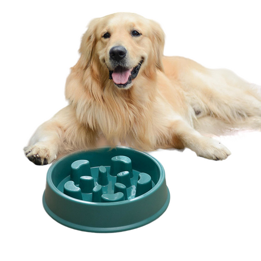 Pet Slow Feeder Bowl | Anti-Gulping Non-Slip Puzzle Bowl for Small & Medium Dogs