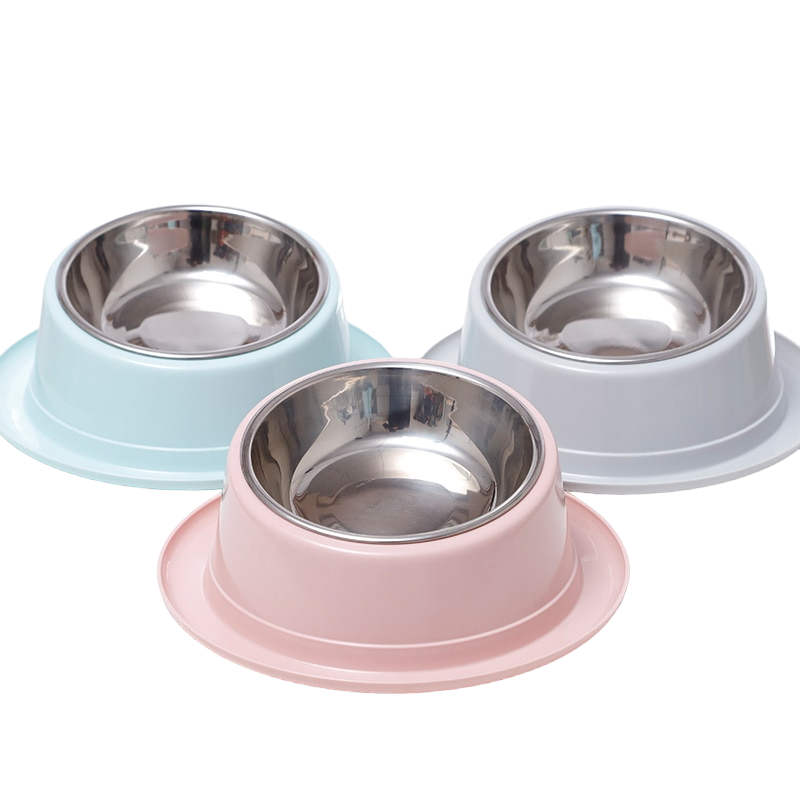 Tilted Stainless Steel Dog Bowl | Anti-Spill and Non-Skid Raised Feeder for Small Dogs & Cats