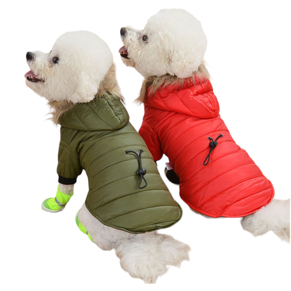 Windproof Warm Padded Dog Coat Small Dog Winter Jacket The Pet Superstore AU