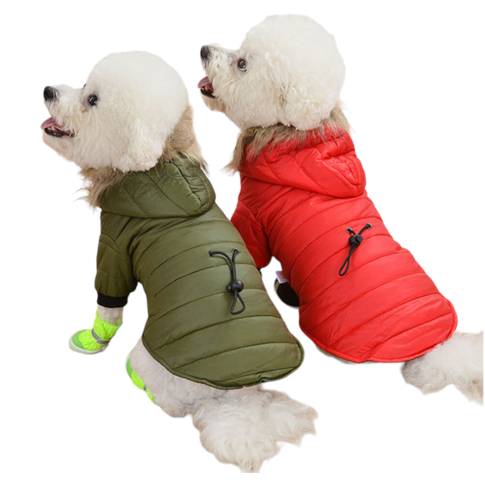 Windproof Dog Coat Padded Down Hoodie | Warm Winter Dog Jacket for Small Dogs & Cats in Multiple Colours