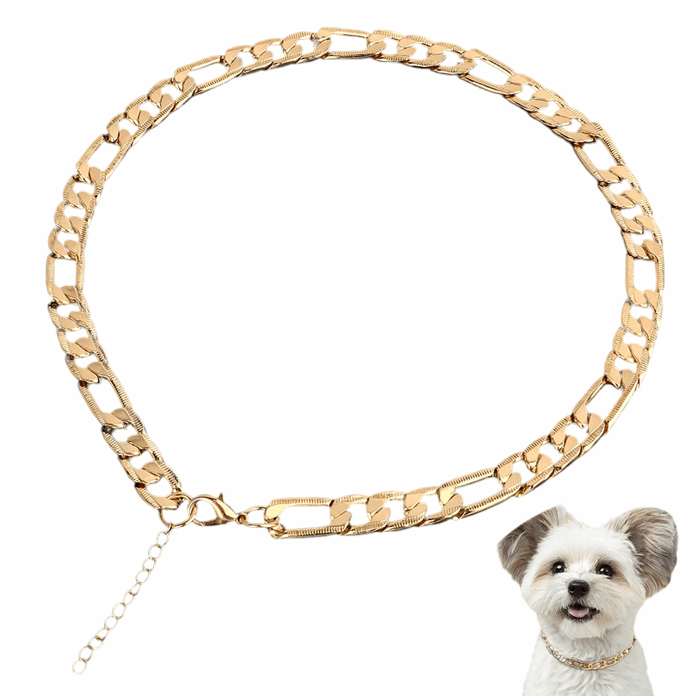 Adjustable Metal Pet Chain Collar for Small Dogs and Cats | Gold Colour Training Slip Collar Necklace