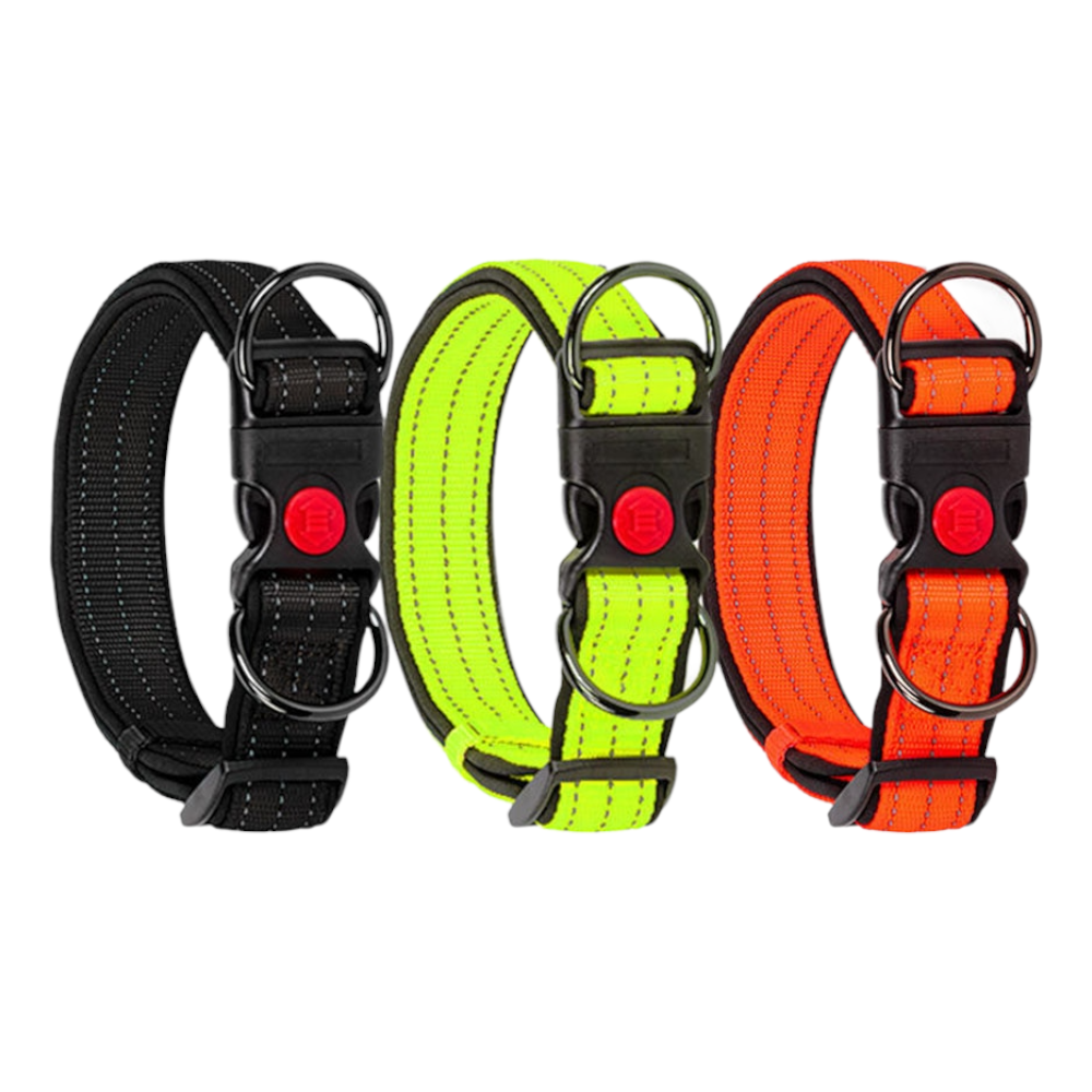 Adjustable Reflective Nylon Dog Collar | Comfortable Padded Design with Double D Rings for Small to Large Dogs