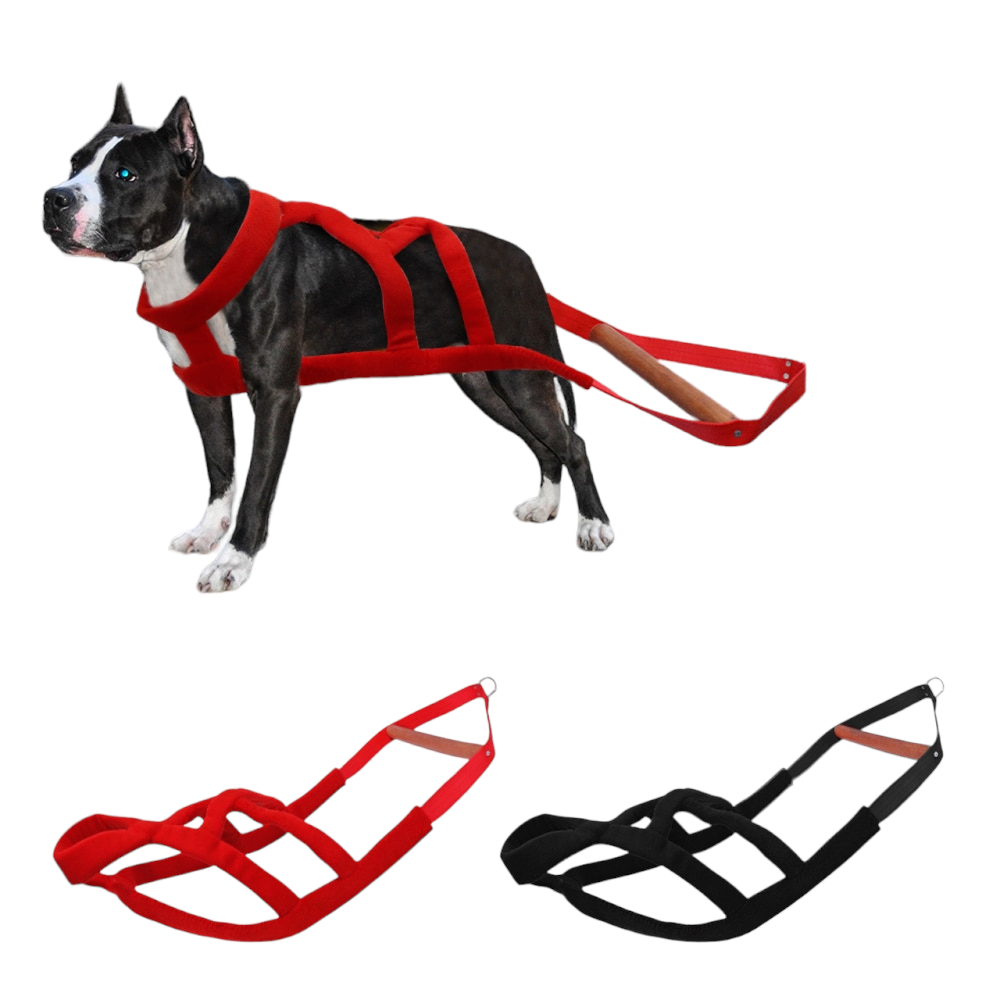thumbnail image 2 of Heavy Duty Dog Weight Pulling Harness With Leash - Adjustable Nylon - Large For Pitbull, Rottweiler, German Shepherd 2 of 6