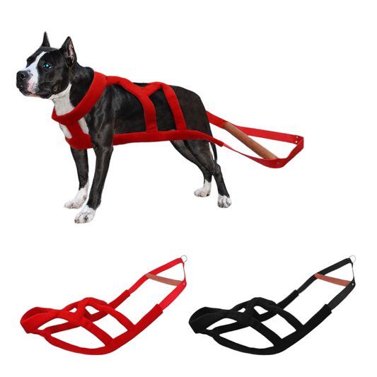 Durable Dog Weight Pulling Harness | Sledding & Training Harness for Medium & Large Dogs | Heavy Duty Design for Muscle Building