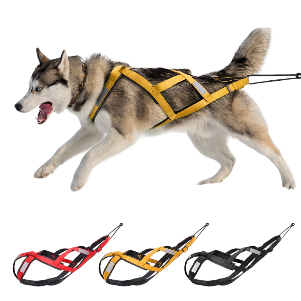 Dog Sled Harness for Large Dogs | Heavy-Duty Weight Pulling X Back Harness for Sledding, Canicross, and Skijoring