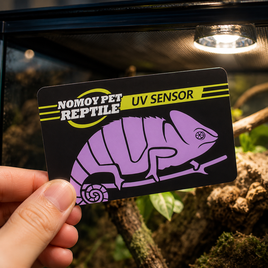 Hand holding a reptile UVB test card beneath an enclosure lamp