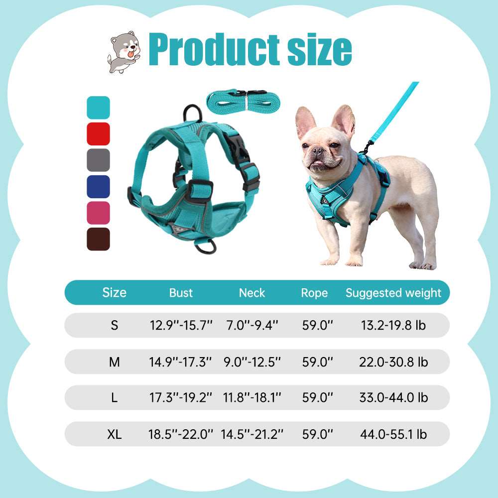 Adjustable Dog Harness with Leash | Soft and Breathable Pet Vest for Small Dogs and Cats | Walking Supplies and Accessories