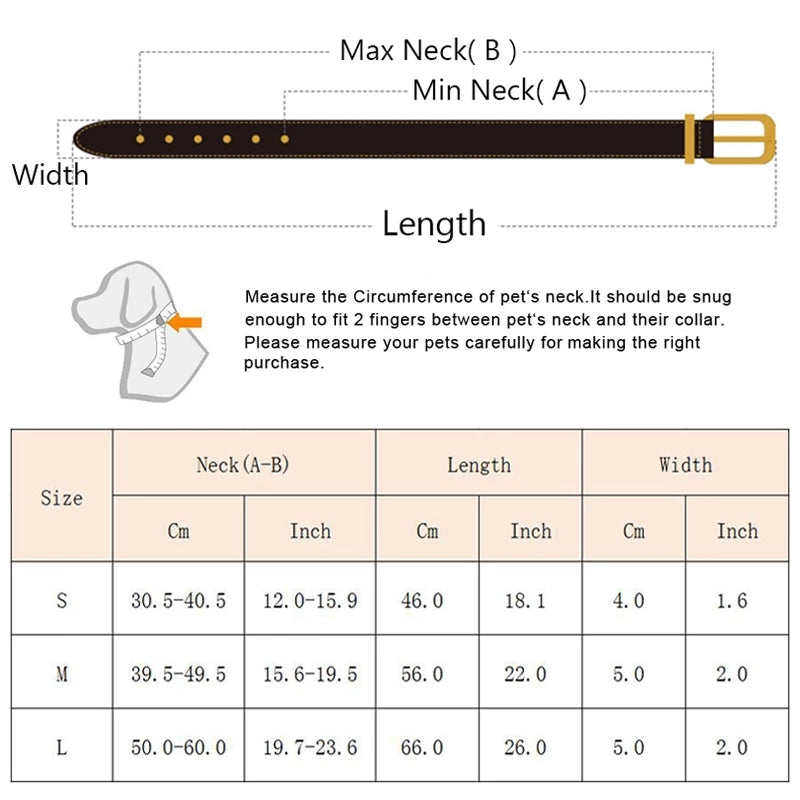 Reflective Soft Padded Adjustable Dog Collar | Wide Buckle Pet Collar for Medium to Large Dogs