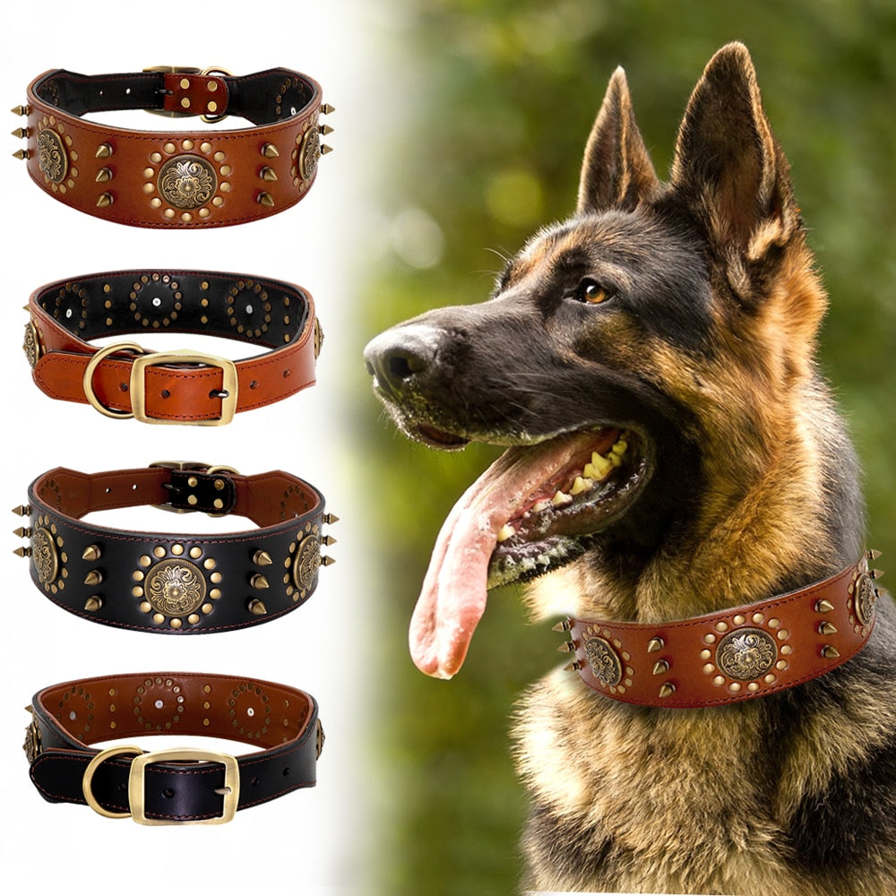 Spiked Leather Dog Collar | Adjustable Studded Collar for Medium & Large Dogs | Heavy Duty Buckle & D-Ring