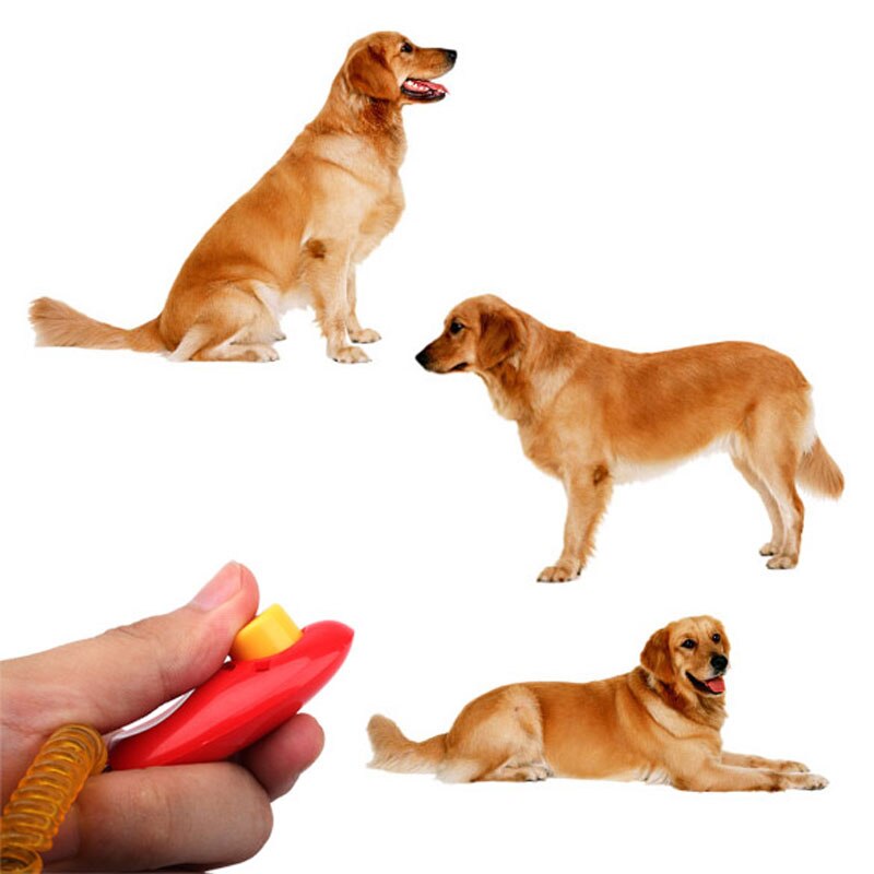 Adjustable Portable Dog Training Clicker with Wrist Strap | Sound Trainer Tool for Effective Obedience and Agility Training
