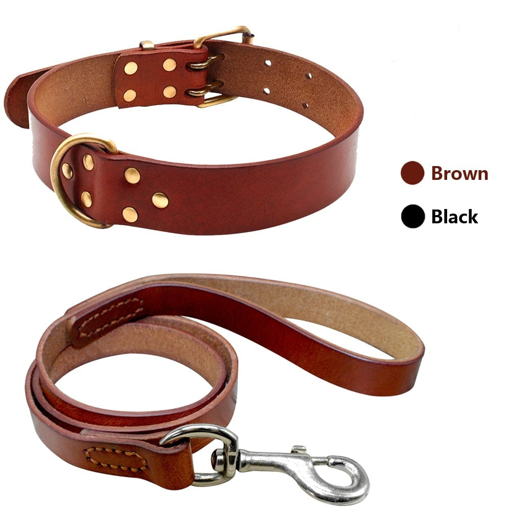 Genuine Leather Dog Collar & Leash Set | Durable Pet Collar for Medium to Large Dogs