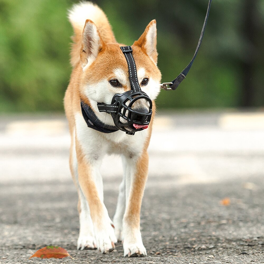 Dog Muzzle for Small Medium Large and X-Large Dogs | Breathable Basket Muzzle with Adjustable Straps, Anti-Bite and Anti-Barking Design