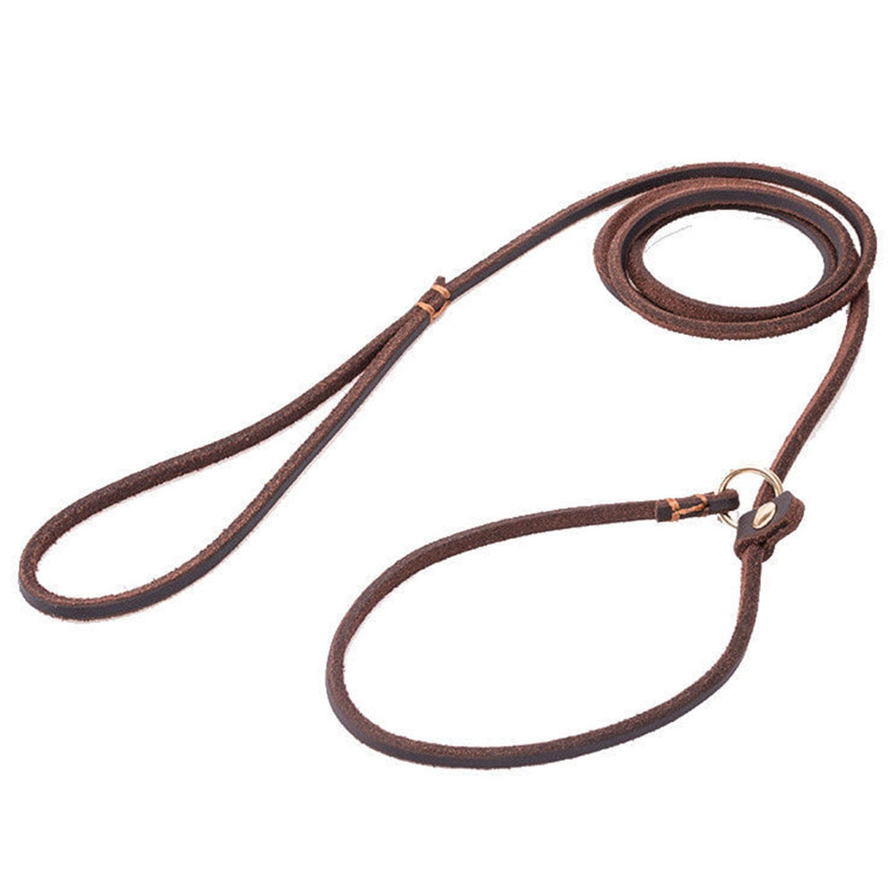 Soft Slim Genuine Leather Dog Slip Lead | No Pull Pet Puppy Training Choke Collar P Chain Slip Leash Available in Multiple Lengths
