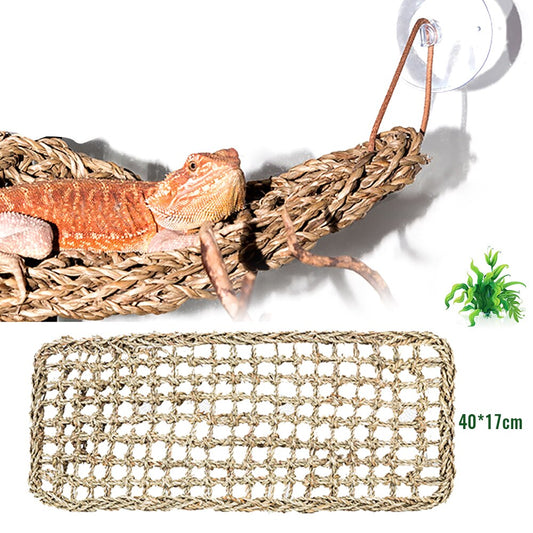 Seagrass Reptile Hammock & Climbing Net