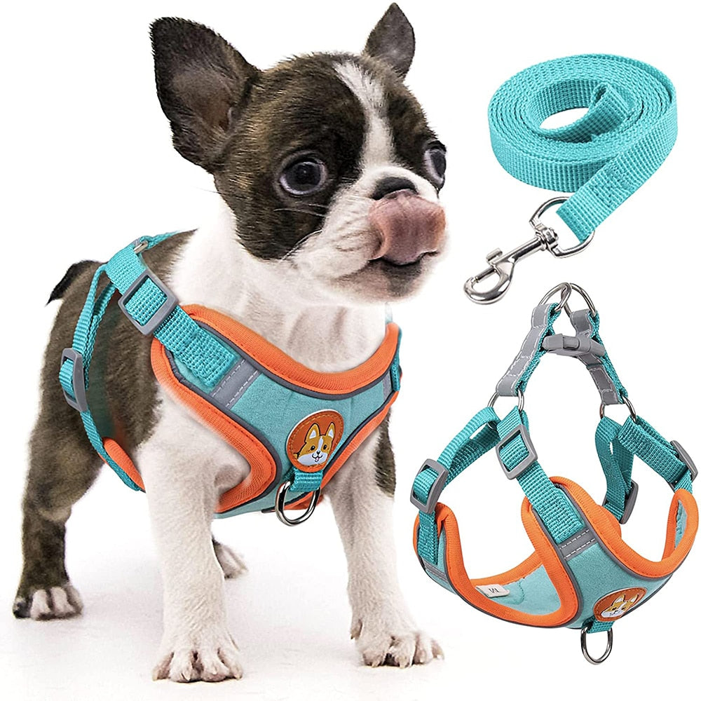 Reflective Adjustable Step-in Dog Harness & Leash Set | Comfortable Fit for Small & Medium Breeds | Available in Multiple Colours