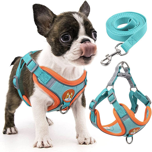 Reflective Adjustable Step-in Dog Harness & Leash Set | Comfortable Fit for Small & Medium Breeds | Available in Multiple Colours
