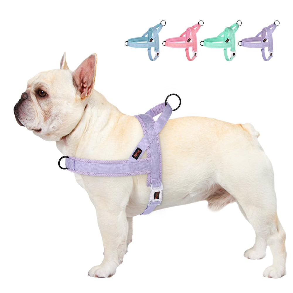Adjustable Nylon Dog Harness with Quick-Release Buckle | Colourful Vest for Small, Medium, and Large Dogs