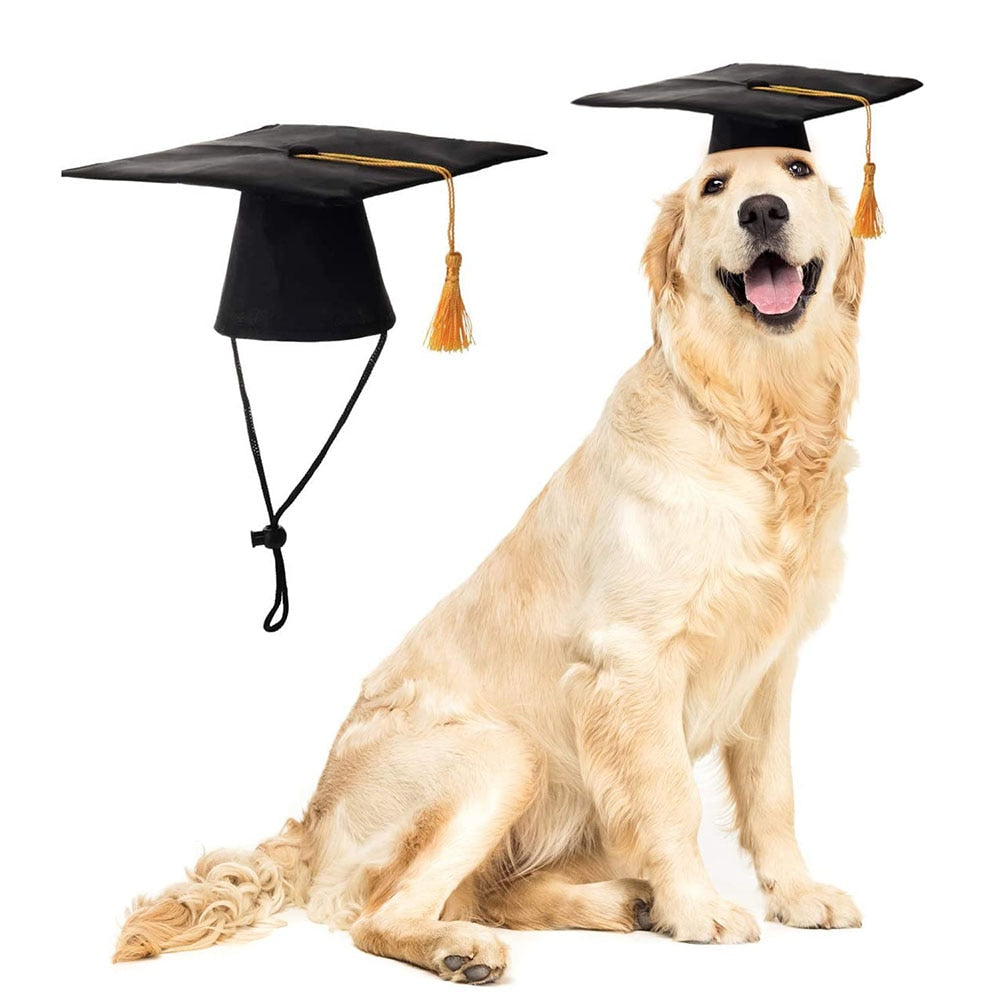 Pet Graduation Cap Costume Hat | Celebratory Tassel Cap for Dogs and Cats Holiday Party Accessories