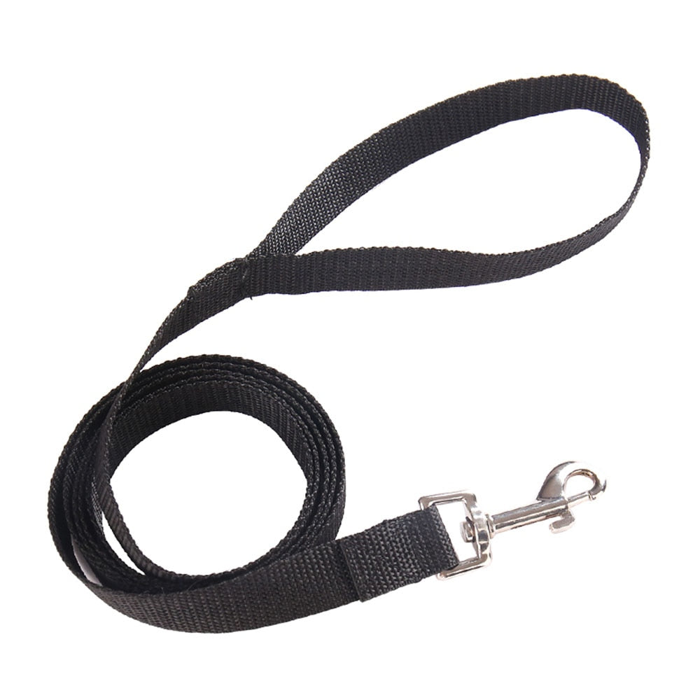 Heavy Duty Nylon Pet Dog Leash | Colourful and Durable Lead for Small Dogs and Cats, Ideal for Walking and Training