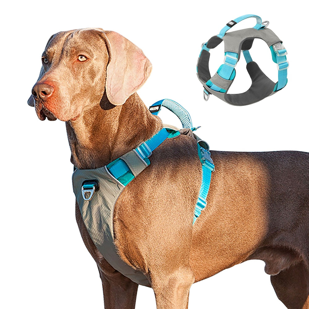 Comfortable Large Dog Harness | Breathable Mesh Vest with Handle | Adjustable & Durable for Medium to Large Dogs
