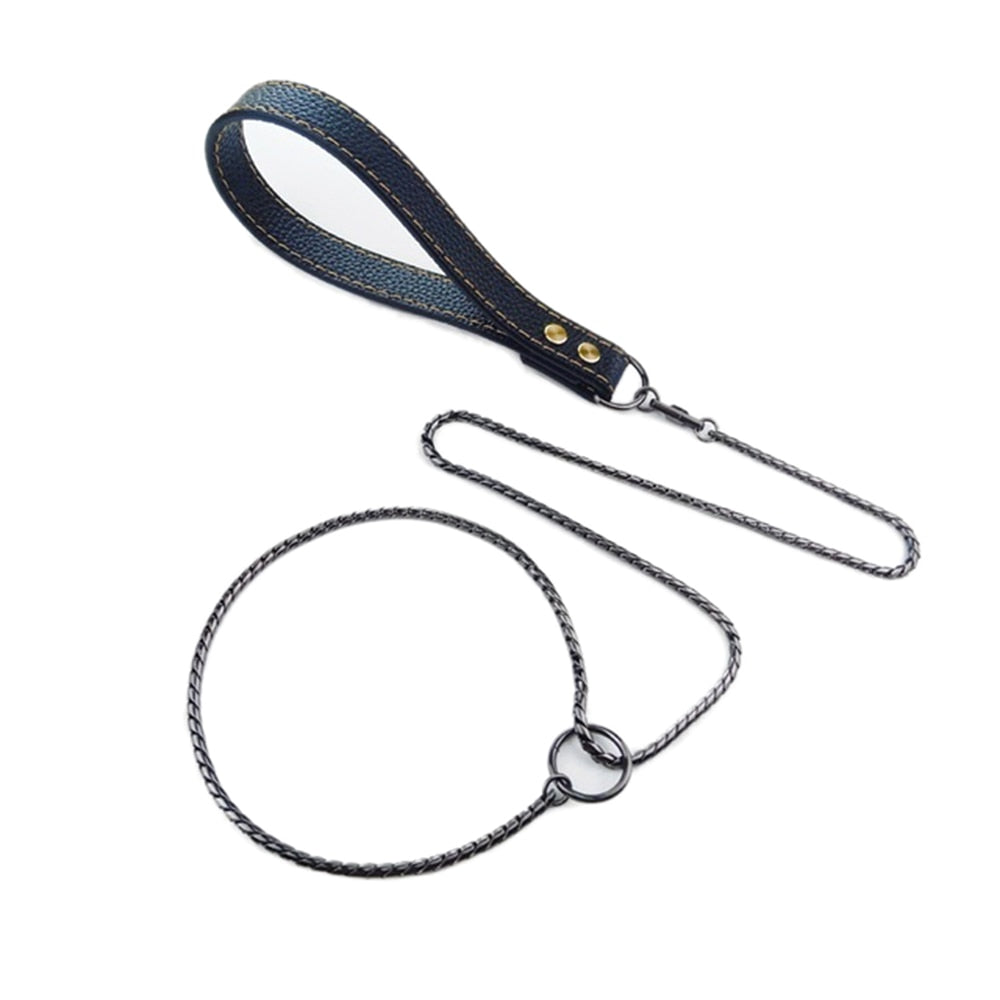 304 Stainless Steel Dog Slip Chain Collar & Leash | Integrated Training Leash with Durable Leather Handle, Multiple Colours