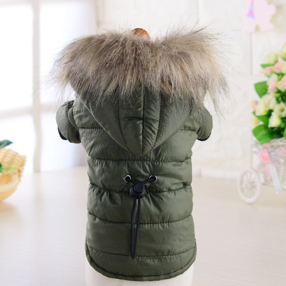 Windproof Dog Coat Padded Down Hoodie | Warm Winter Dog Jacket for Small Dogs & Cats in Multiple Colours