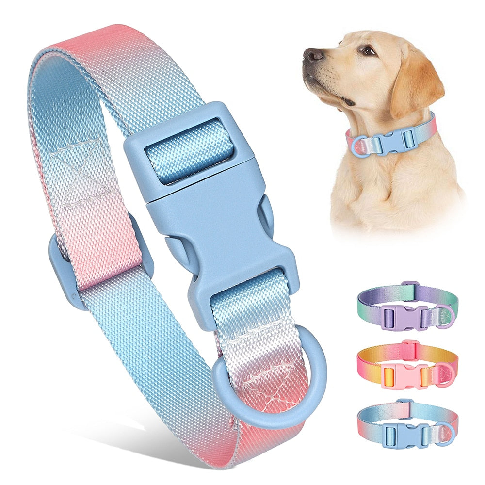 Cute Nylon Dog Collar Colourful Print Pet Collars | Fashion Printed Style Puppy Collar for Small & Medium Dogs